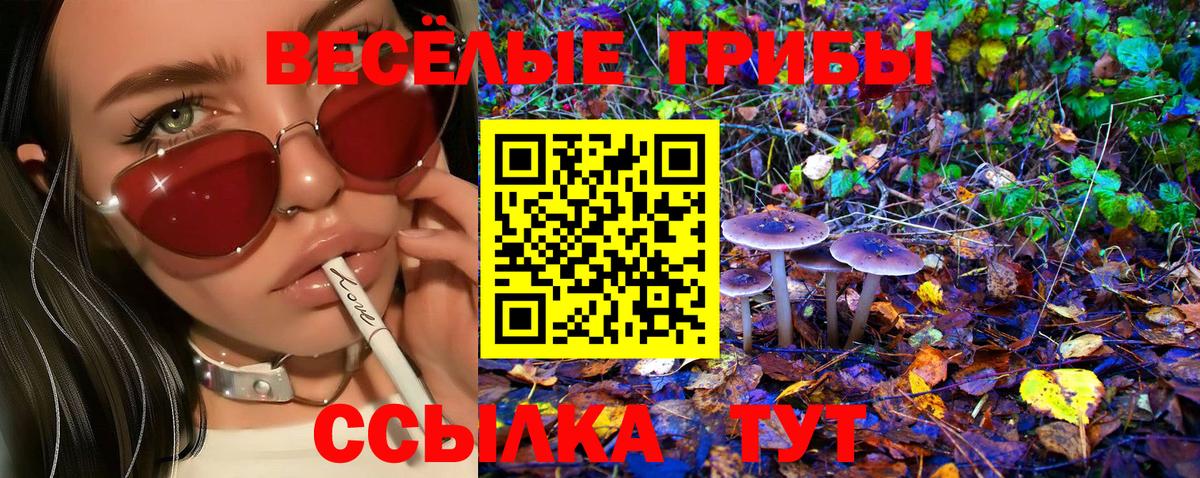 Тихвин  Галлюциногенные грибы прущие грибы  Вход с VPN  Галлюциногенные грибы Cubensis 